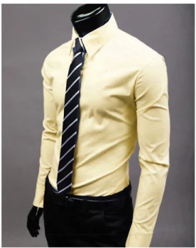 Jurk overhemd - Lange Mouw - Slim Fit - Button-Up overhemd - Heren overhemden-Hallo Susanne