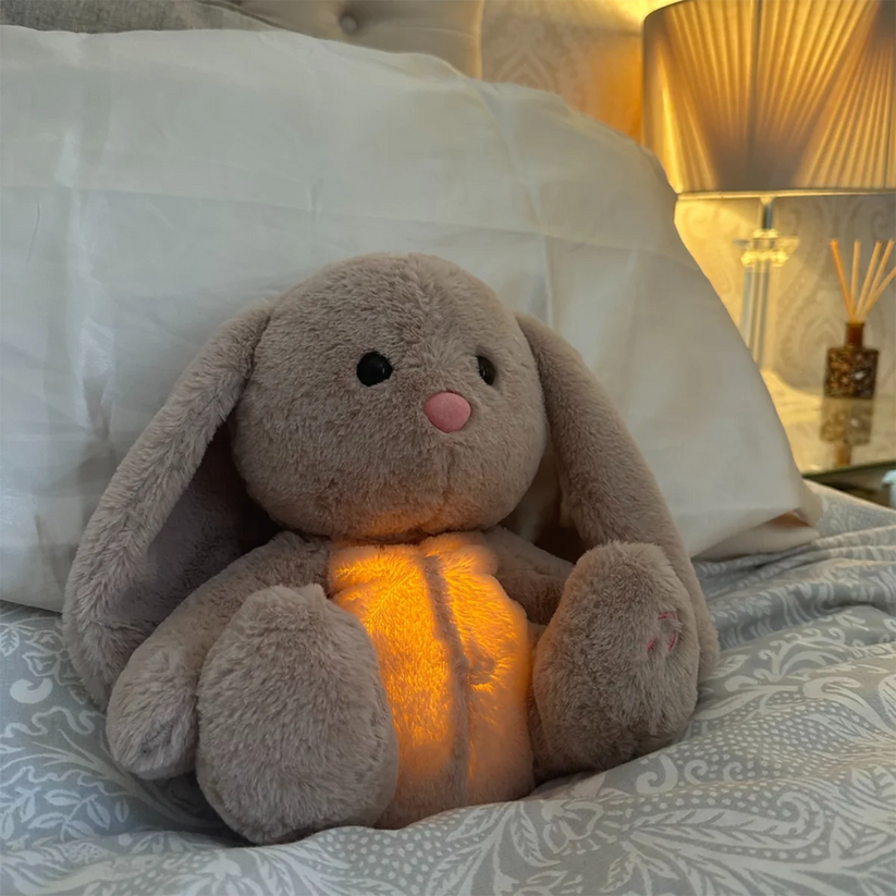 Angst knuffel | Licht | Konijnen teddybeer | Teddykoala | Angst teddybeer-Hallo Susanne