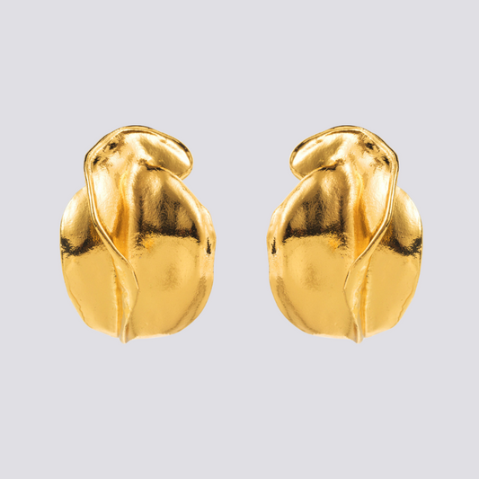 Gouden oorbellen - Elegante gouden oorknopjes voor dames-Hallo Susanne