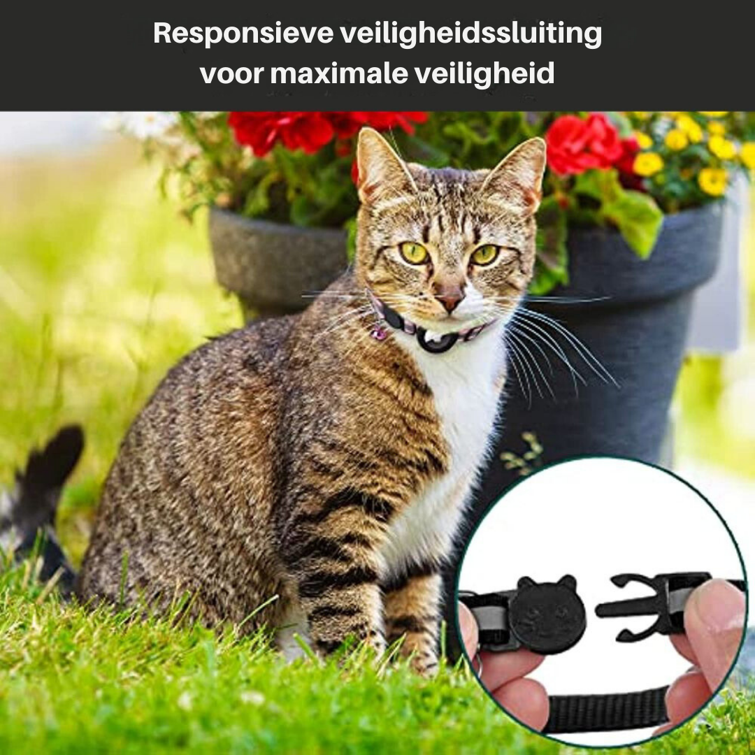 Kattenhalsband - Bel - GPS - Kattentracker - Kat Tracker Halsband-Hallo Susanne