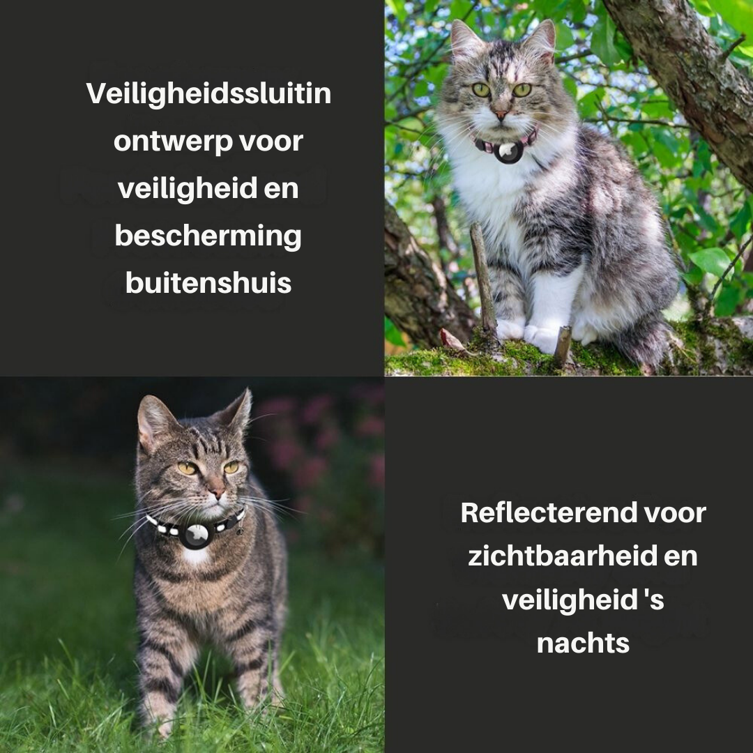 Kattenhalsband - Bel - GPS - Kattentracker - Kat Tracker Halsband-Hallo Susanne
