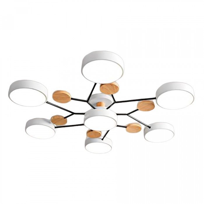 Plafondlamp | Modern | Design | Plafondlampen voor de Woonkamer | LED Lampen-Hallo Susanne