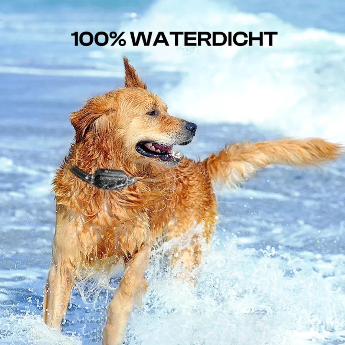 Schokhalsband voor honden | Vibrerend | Afstandsbediening | Elektrische Halsband voor Honden | Halsband voor Hondentraining-Hallo Susanne